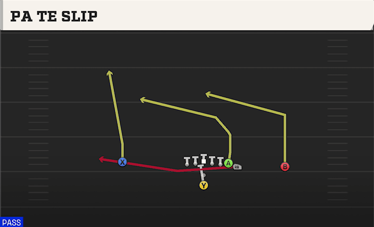 PA TE SLIP from WING