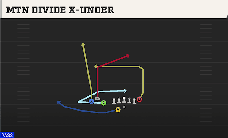 MTN DIVIDE X-UNDER from BUNCH TE WK