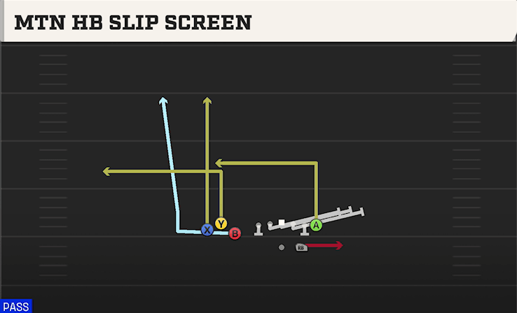 MTN HB SLIP SCREEN from BUNCH TE