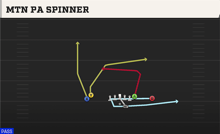 MTN PA SPINNER from DOUBLES HIP