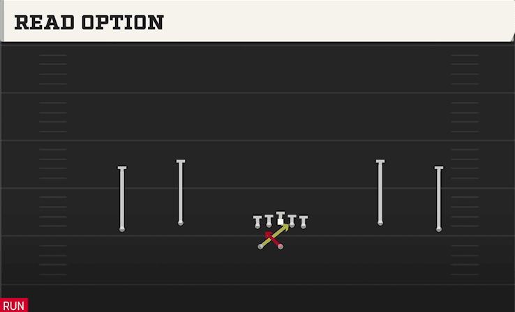 READ OPTION from WIDE DBL FLEX WK