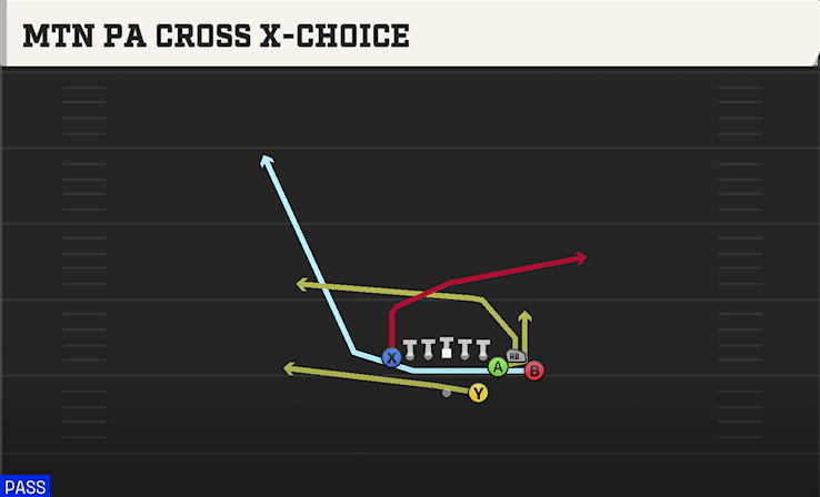 MTN PA CROSS X-CHOICE from BUNCH TE STR
