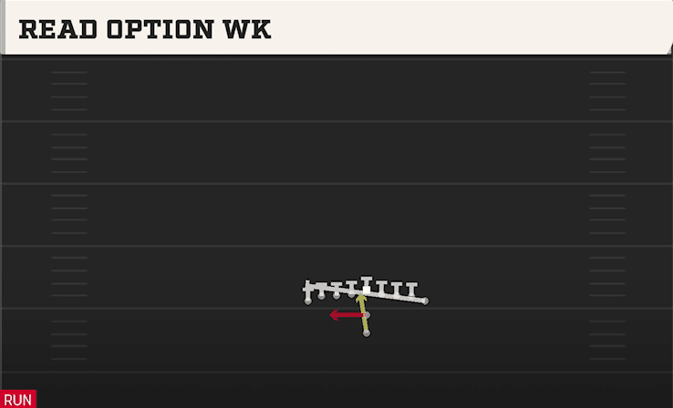 READ OPTION WK from ACE DOUBLE WING