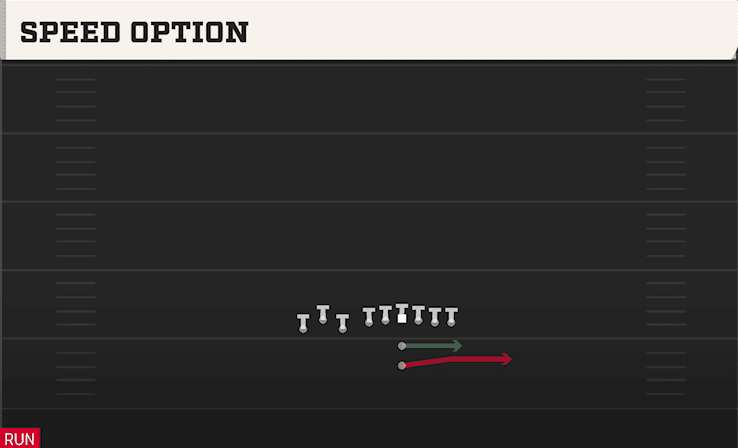 SPEED OPTION from BUNCH TE