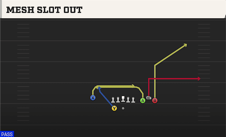 MESH SLOT OUT from BUNCH SPREAD NASTY
