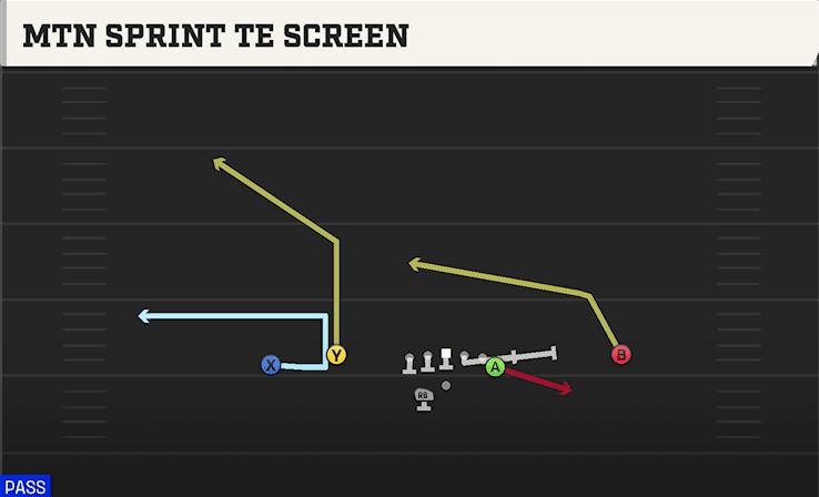 MTN SPRINT TE SCREEN from FLEX Y OFF WK