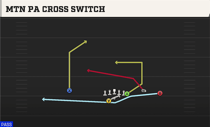 MTN PA CROSS SWITCH from Y TRIO OFFSET WK