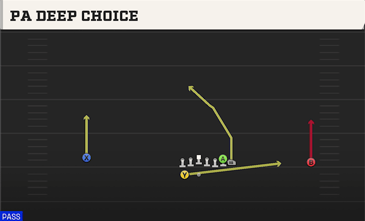 PA DEEP CHOICE from WIDE WING HB WK