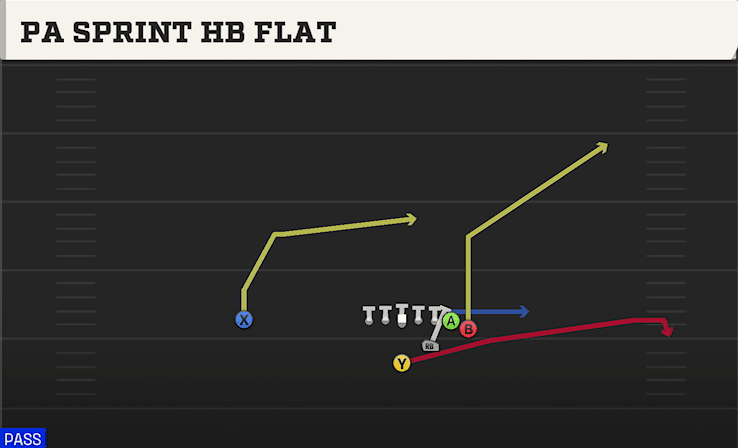PA SPRINT HB FLAT from WING