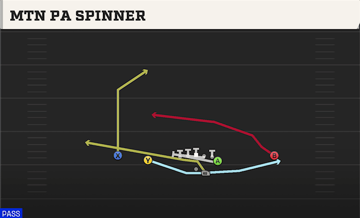 MTN PA SPINNER from DOUBLES Y OFF