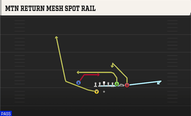 MTN RETURN MESH SPOT RAIL from BUNCH Y-TRIPS