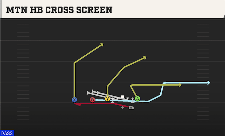 MTN HB CROSS SCREEN from ACE SLOT