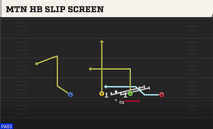 MTN HB SLIP SCREEN from ACE OFFSET