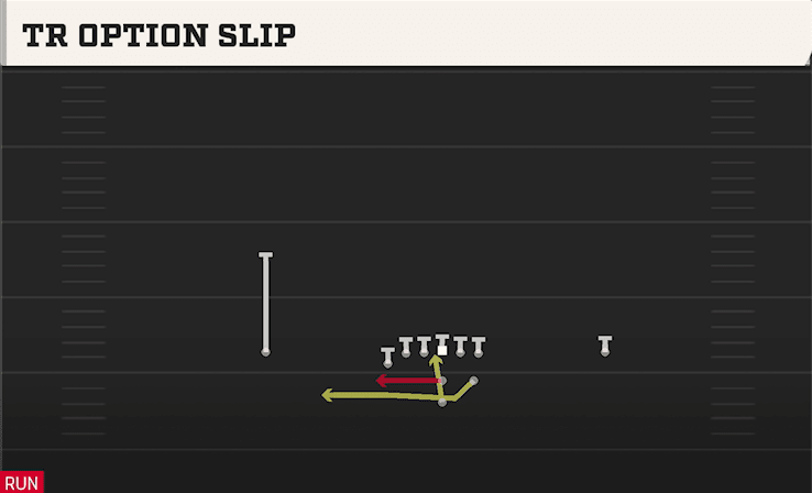 TR OPTION SLIP from STRONG