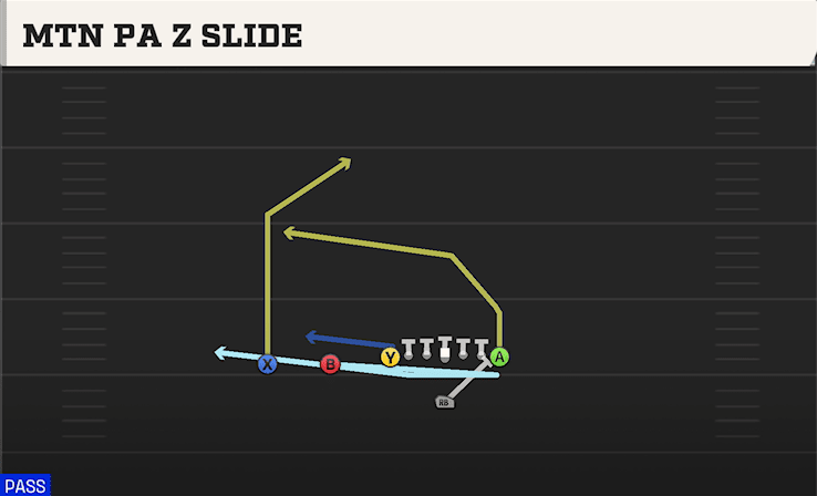 MTN PA Z SLIDE from ACE SLOT