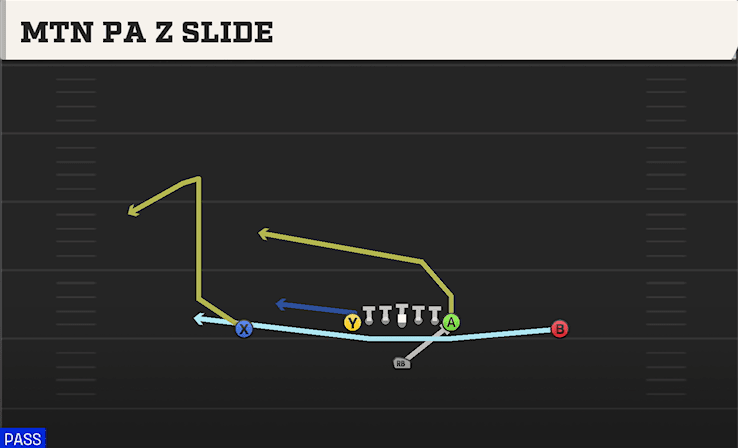 MTN PA Z SLIDE from ACE