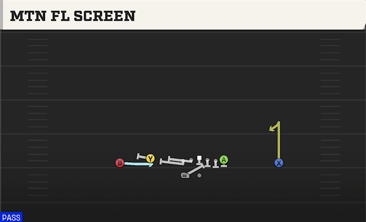 MTN FL SCREEN from DOUBLES FLEX WK