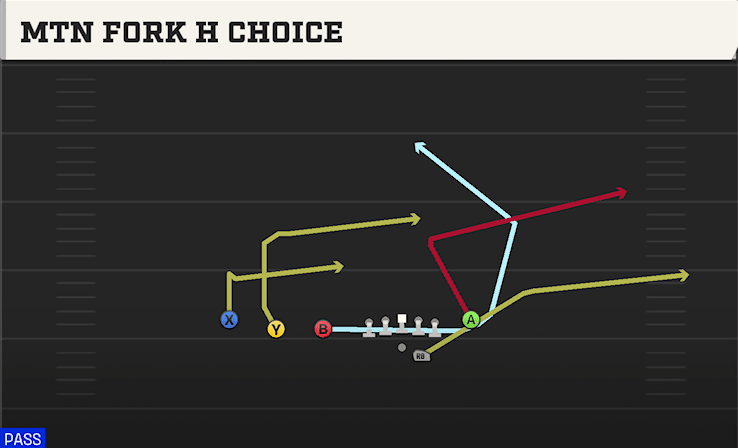 MTN FORK H CHOICE from TRIPS TE FLEX