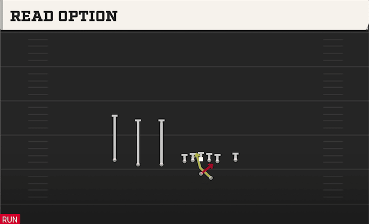 READ OPTION from TRIPS TE FLEX
