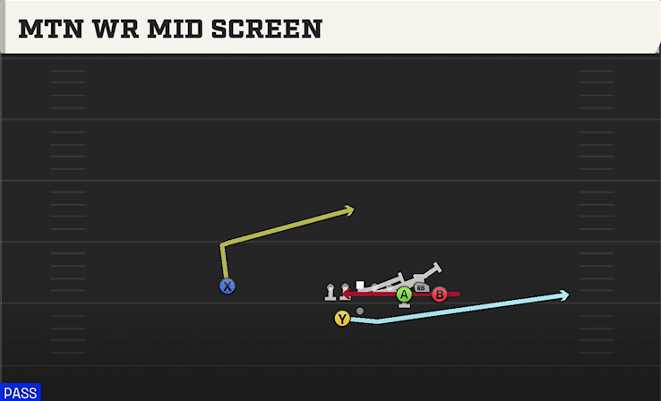 MTN WR MID SCREEN from BUNCH OFFSET