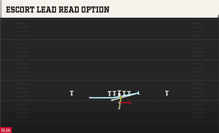 ESCORT LEAD READ OPTION from FULL DIAMOND
