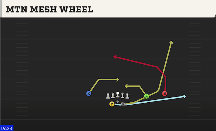 MTN MESH WHEEL from SPLIT SLOT OFFSET