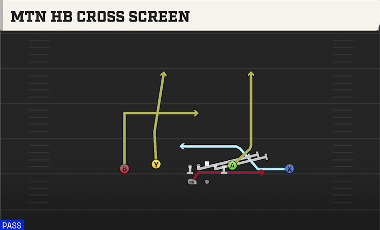 MTN HB CROSS SCREEN from DOUBLES FLEX WK SWAP