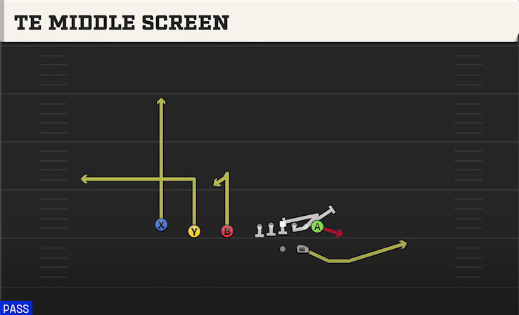 TE MIDDLE SCREEN from TRIPS TE