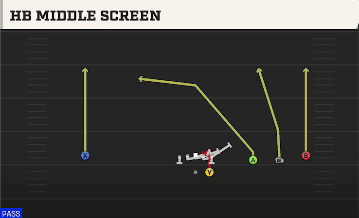 HB MIDDLE SCREEN from WIDE TRIPS