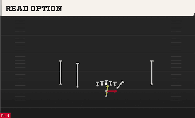 READ OPTION from FLEXBONE SLOT