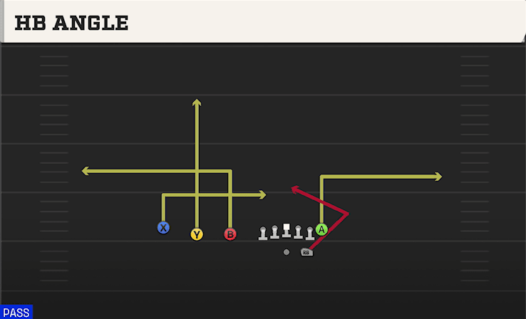 HB ANGLE from TRIPS TE