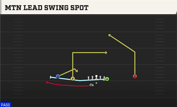 MTN LEAD SWING SPOT from DOUBLES Y OFF WK