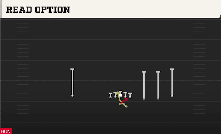 READ OPTION from TRIPS OFFSET