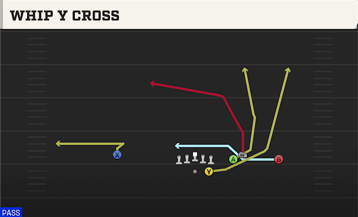WHIP Y CROSS from BOX HB STRONG