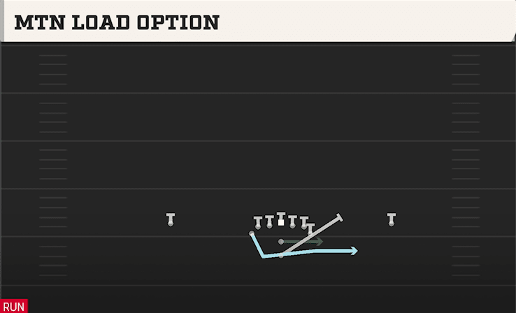 MTN LOAD OPTION from FLEXBONE