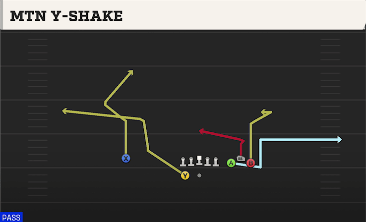 MTN Y-SHAKE from BUNCH SPREAD