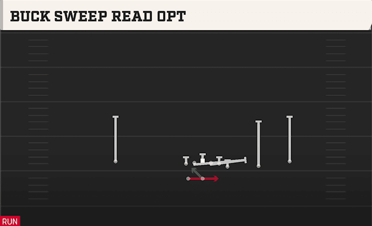 BUCK SWEEP READ OPT from WING TRIPS WK
