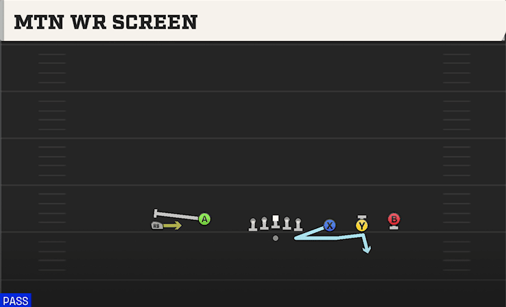 MTN WR SCREEN from EMPTY TRIPS SPEED