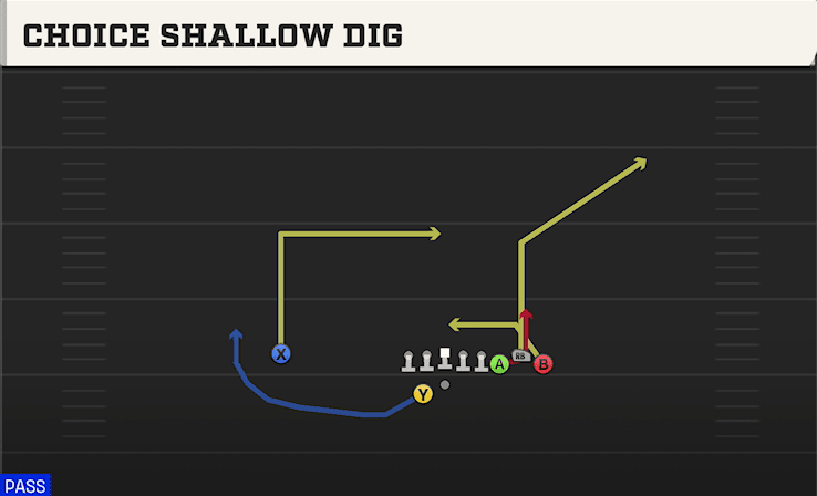 CHOICE SHALLOW DIG from BUNCH OFFSET