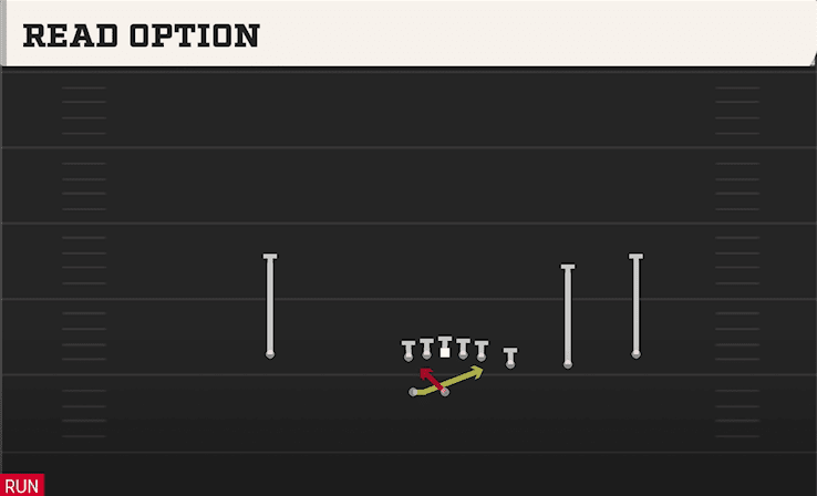 READ OPTION from TRIPS Y-FLEX