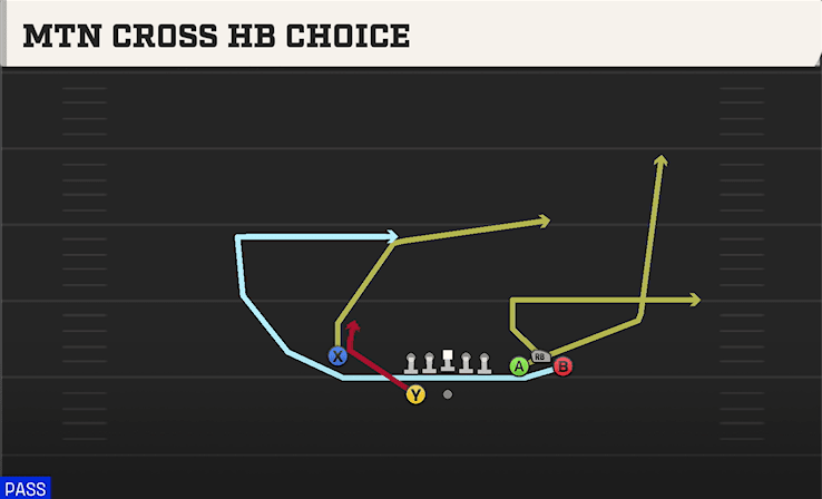 MTN CROSS HB CHOICE from BUNCH SPREAD NASTY